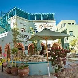 Turtle`s Inn El Gouna 