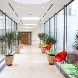 Hall Josef Fotos