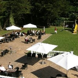 Terrasse Nicol's Fotos