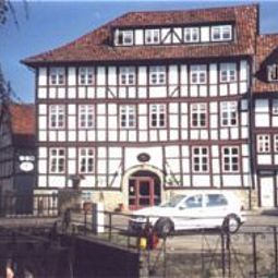 Brauner Hirsch Osterwieck 