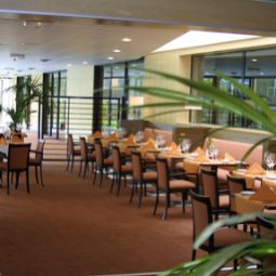 Restaurant Holiday Inn TOULOUSE AIRPORT Fotos