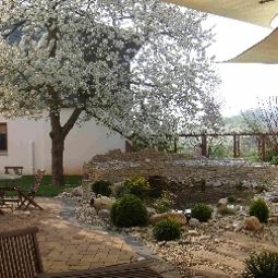 Garten Villa Melsheimer Fotos
