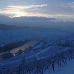 Ausblick Villa Melsheimer Fotos