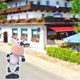Hotelfotos Almrausch