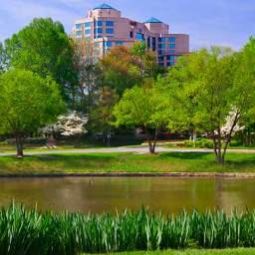  Fairview Park Marriott Fotos