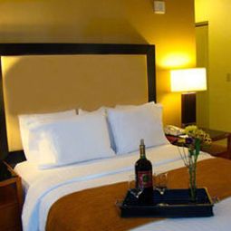 Suite Residence Inn Atlanta Downtown Fotos