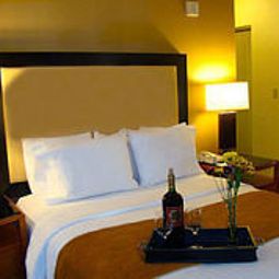 Habitación Residence Inn Atlanta Downtown Fotos