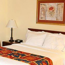 Chambre Residence Inn Arlington Fotos