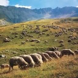 Vue extérieure D'Etigny Fotos