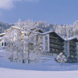 Bergkristall Wildschönau (Tirol)                            