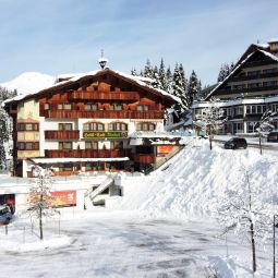 Almhof Hotel Fügen (Tirol)