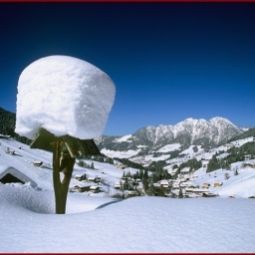  Alpbacher Gästehaus Gratlspitz Pension Fotos