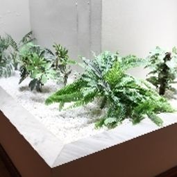 Vue intérieure Doña Blanca Fotos
