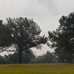  Golf Hotel St Samson Fotos