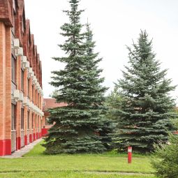  AZIMUT Hotel Kostroma Fotos