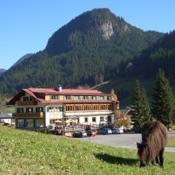 Anni´s Hotel-Restaurant GOSAUERHOF Gosau (Salzkammergut)                    