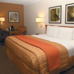 Habitación La Quinta Inn Baton Rouge University Area Fotos