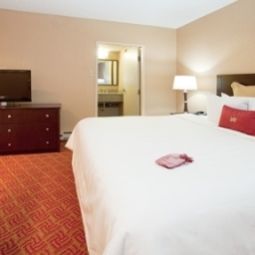 Pokój Crowne Plaza COLORADO SPRINGS Fotos