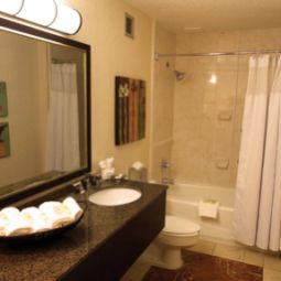 Suite Crowne Plaza ATLANTA-AIRPORT Fotos