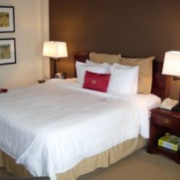 Habitación Crowne Plaza ATLANTA-AIRPORT Fotos