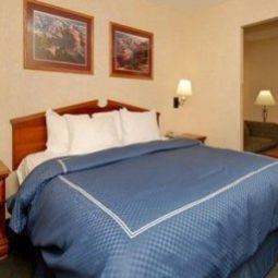 Zimmer Comfort Suites Airport Fotos
