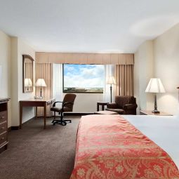 Zimmer DoubleTree by Hilton Houston Hobby Airport Fotos