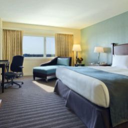 Zimmer Hilton Boston Back Bay Fotos