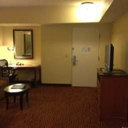 Suite Hilton Garden Inn Tampa Ybor Hist District Fotos