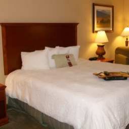 Room Hampton Inn  Suites Phoenix Airport South Fotos
