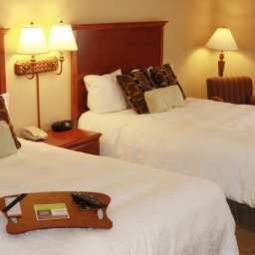 Room Hampton Inn  Suites Phoenix Airport South Fotos