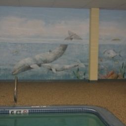 Piscine Crowne Plaza BOSTON - WOBURN Fotos