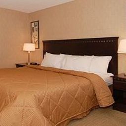 Zimmer Comfort Inn Woodland Hills Warner Center Fotos