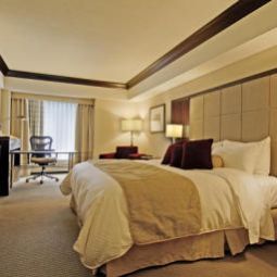 Zimmer Hilton Montreal Bonaventure Fotos
