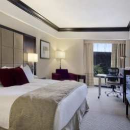 Zimmer Hilton Montreal Bonaventure Fotos