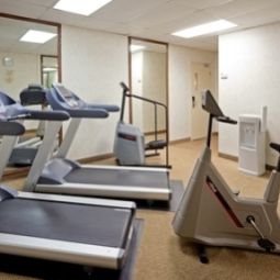 Bien-être - remise en forme Holiday Inn MISSISSAUGA TORONTO WEST Fotos