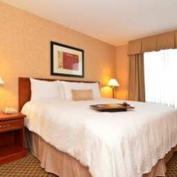 Suite Hampton Inn & Suites® Langley-Surrey Fotos