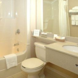 Camera Holiday Inn TORONTO BLOOR-YORKVILLE Fotos