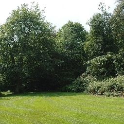 Jardín Weetwood Hall Fotos