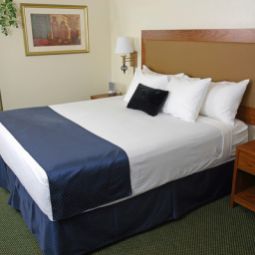 Suite BEST WESTERN Airport Albuquerque InnSuites Hotel & Suites Fotos