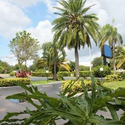 Comfort Inn & Suites at Tropicana Field St. Pete Beach                                    