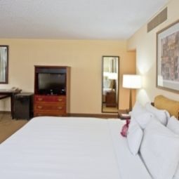 Camera Crowne Plaza MIAMI INTERNATIONAL AIRPORT Fotos