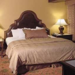 Suite Holiday Inn Hotel & Suites PHOENIX AIRPORT NORTH Fotos