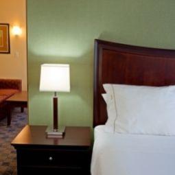 Suite Holiday Inn Express ALBANY WESTERN AVE UNIVERSITY Fotos