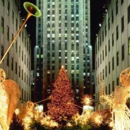  Holiday Inn Express PARAMUS Fotos