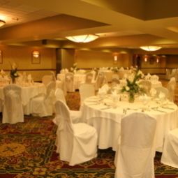 Sala congressi Holiday Inn BOSTON-BROOKLINE Fotos