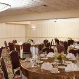 Sala congressi Holiday Inn BOSTON-BROOKLINE Fotos