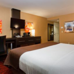 Chambre Holiday Inn COLORADO SPRINGS (AIRPORT) Fotos