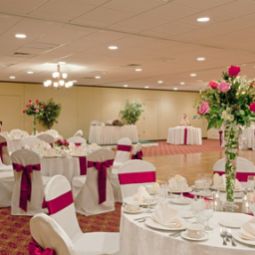 Banqueting hall Holiday Inn Hotel & Suites MARLBOROUGH Fotos