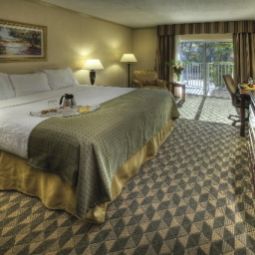 Zimmer Holiday Inn CORAL GABLES - UNIVERSITY Fotos