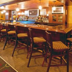 Bar Holiday Inn NATIONAL AIRPORT/CRYSTAL CITY Fotos